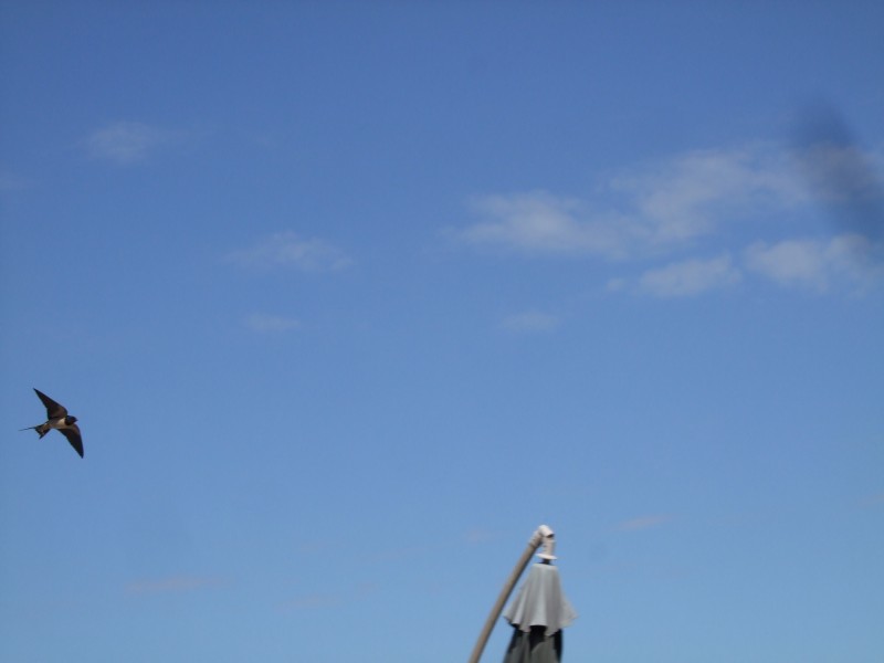 Anadalusien 2009 - 0178 